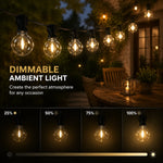 guirlande lumineuse verre vintage ampoules led étanches 220v noir ambre blanc