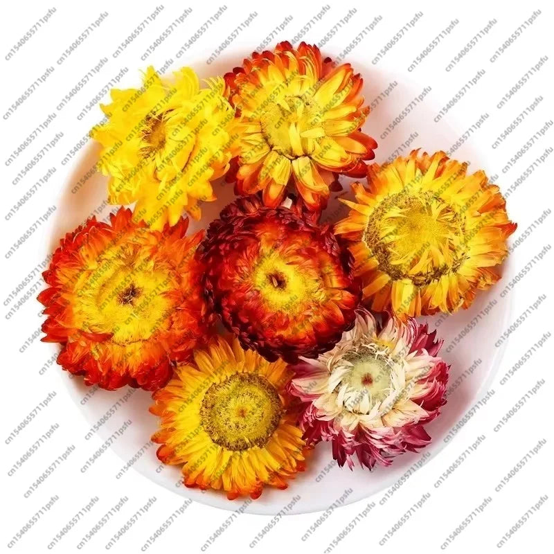 fleurs séchées blanches chrysanthèmes deco maison anniversaire baby shower intérieur naturel rustique
