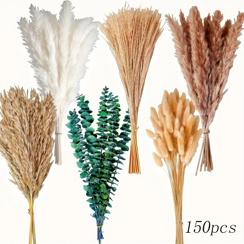 décoration maison bouquet dried flowers naturelles pampas beige rustique vase
