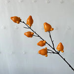 décoration intérieure branches fruits naturels pommes oranges citrons marrons festive maison anniversaire