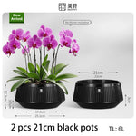 pots orchidées blancs moderne ventilation aération plateaux intérieurs extérieurs