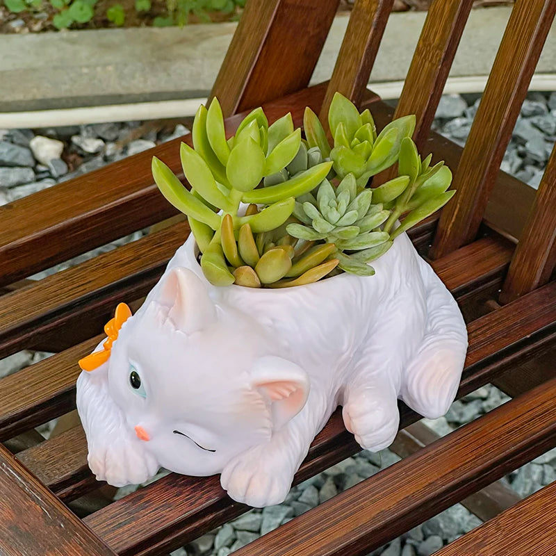 chat mignon pot succulentes plante verte deco maison balcon salon dessin animé