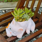 chat mignon pot succulentes plante verte deco maison balcon salon dessin animé