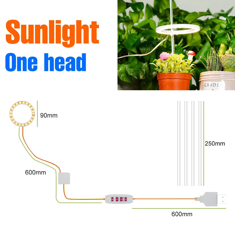 lampe led croissance plante circulaire diodes blanc moderne anneau flexible réglable temps
