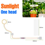 lampe led croissance plante circulaire diodes blanc moderne anneau flexible réglable temps