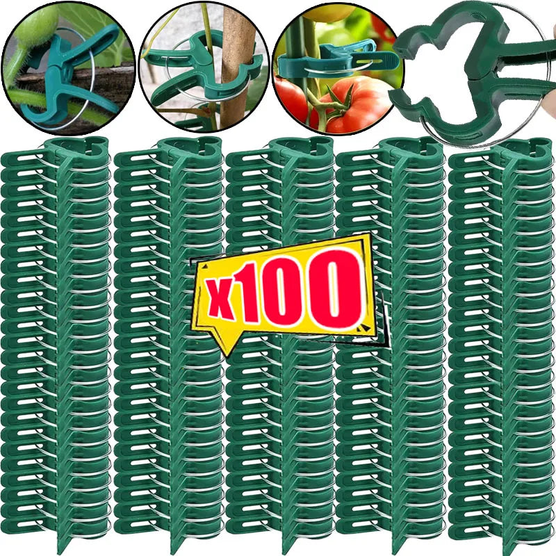 pinces végétaux support plantes serre clips verts plastique robustes fixations tomates légumes 3cm 4.5cm