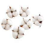 bouquet coton blanc naturel boules tiges brunes décoration intérieure artificielle noël bricolage