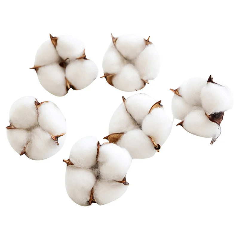 bouquet coton blanc naturel boules tiges brunes décoration intérieure artificielle noël bricolage