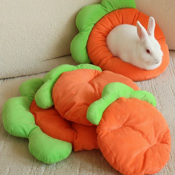 tapis coussin animal compagnie forme carotte polaire soft orange vert hamster lapin chinchilla sofa
