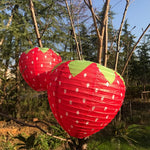 lanterne champignon fraise couleur rouge blanc jaune rose verte points feuilles enfant décoration fête
