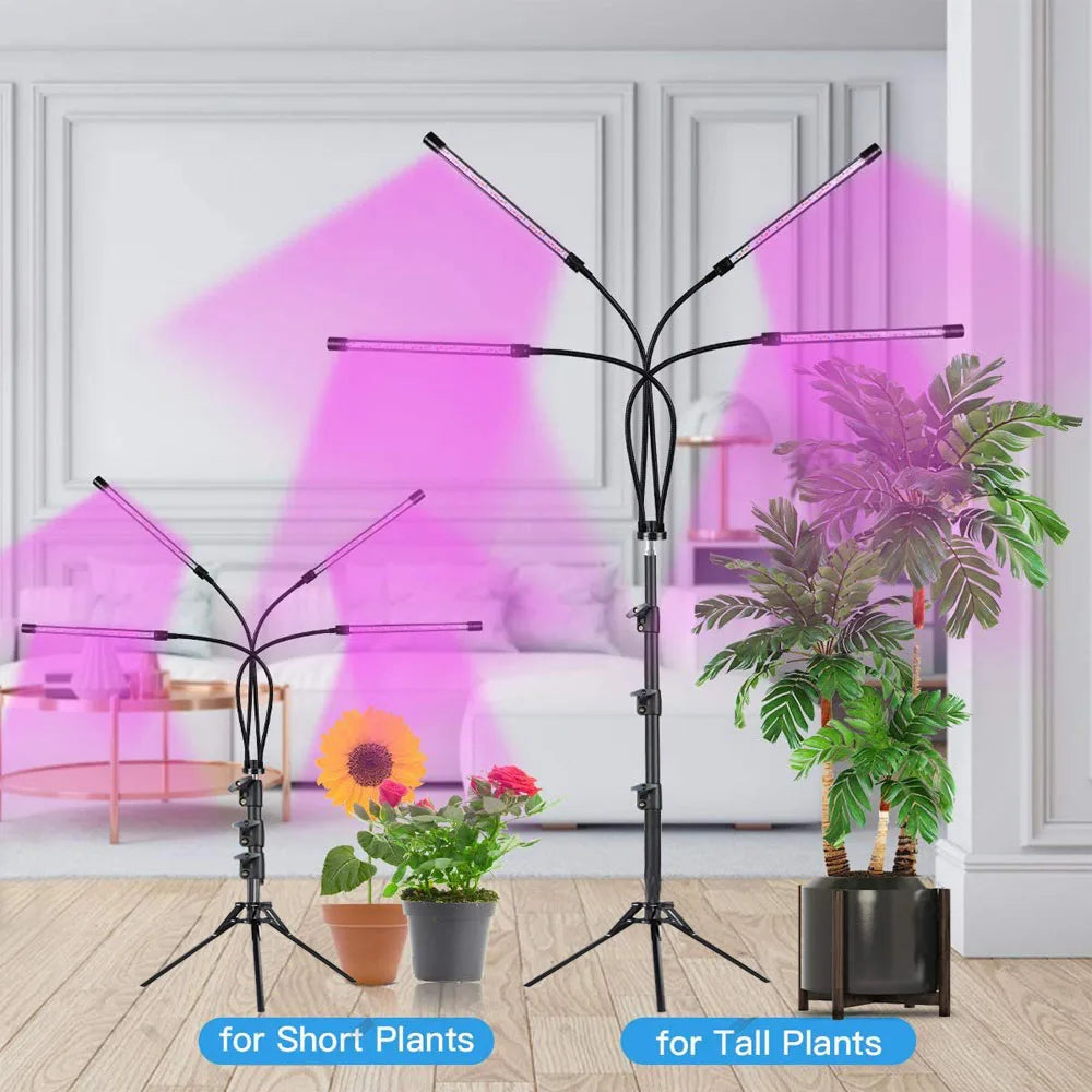 lampe led croissance plante intérieure usb réglable bouton variateur clips moderne noire aluminium