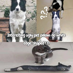 coussin personnalisable imprimé animaux humoristique fibre polyester chat chien siège maison