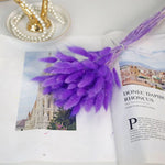 décoration boho plumes séchées naturelles mix beiges roses grises anniversaire maison