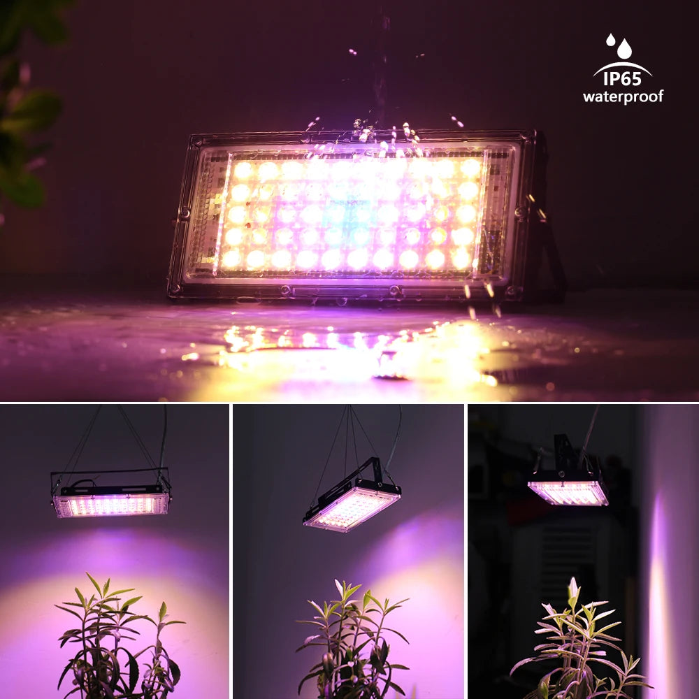 lumière croissance plante led full spectrum rouge violet jaune verte moderne