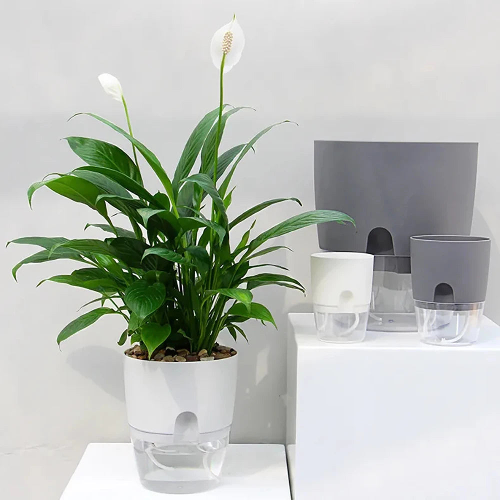 Pot plante auto arrosant gris moderne base transparente drainage fenêtre niveau eau inlet