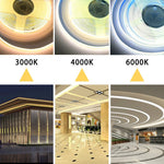 ruban led blanc lisse moderne adhésif contrôleur câbles 2700k 4000k 6500k 24v dimmable