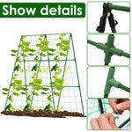 treillis support plantes grimpantes structure triangulaire treillage métallique jardinage rustique tubes connecteurs attaches
