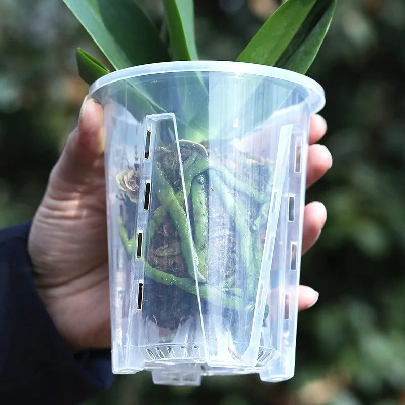 pot plante transparent moderne perforations clips intérieur extérieur 1pc 2pcs 5pcs