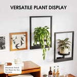 support mural plante noir plateau lisse moderne vis fixationsintérieur decoration plants fenêtre metal
