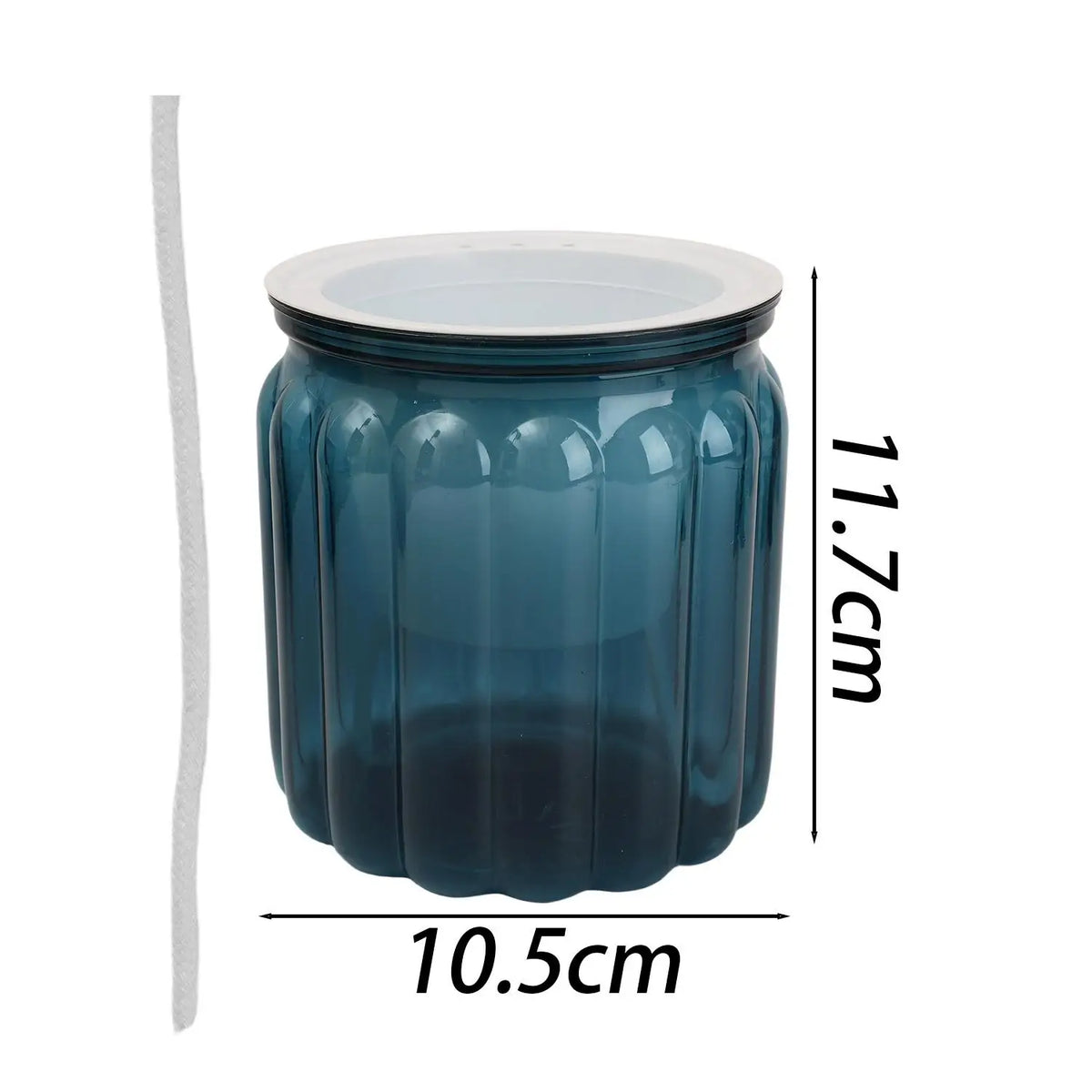 pot plante moderne transparent rayures vertes fleur intérieure minimaliste