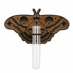 support mural boho chic plante papillon floral clips marron vert transparent