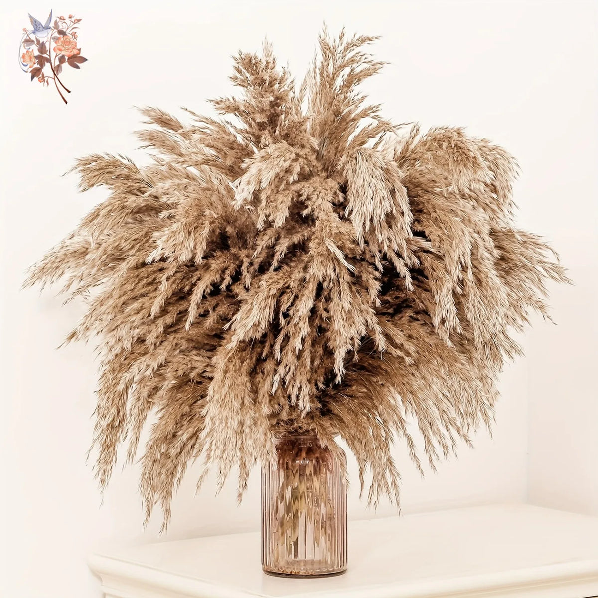 décoration maison plante séchée pampa moelleuse naturelle vase dried flowers beige rustiqueintérieur