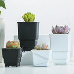 pots plantes plastique moderne blanc cactus succulents lithops drainage decoration maison
