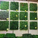 plantes artificielles modernes feuilles vertes fleurs violettes rouges extérieures décoration intime résistantes uv