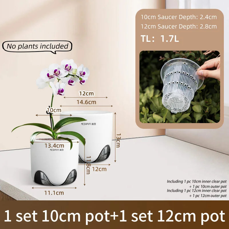pots orchidées modernes blancs transparents 15cm 12cm 10cm aircone racines rebondissement