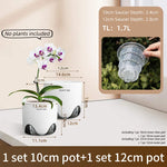 pots orchidées modernes blancs transparents 15cm 12cm 10cm aircone racines rebondissement