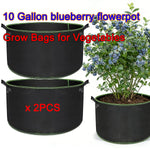 sacs culture légumes fibre végétale noir poignées portables 10 gallons 50 pièces
