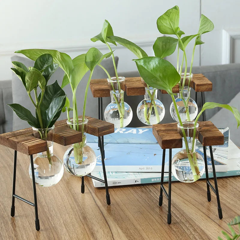 vase verre transparent support bois industriel moderne plante hydroponique décoration intérieure minimaliste
