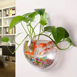 aquarium mural transparent moderne poissons plante galets colorés fixations suspension