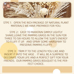bouquets séchés naturels feuilles fines fleurs blanches plumes beige rustique décoration maison anniversaire baby