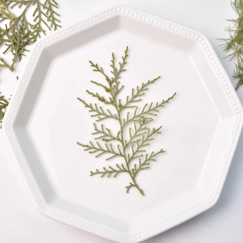 fleurs séchées naturelles vertes feuilles fines rustiques décoration intérieure maison événements festive arrangement photo