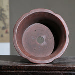cache pot marron foncé texture bois gravure circulaire finition glacée classique plante verte chambre