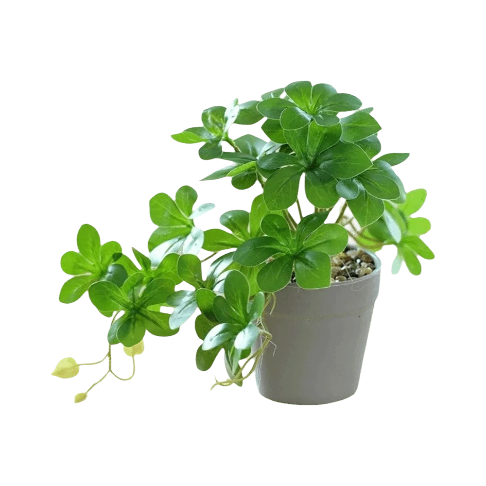 plante artificielle verte feuilles rondes moderne pot gris extérieur accrochée