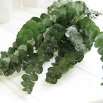 guirlande feuilles artificielles décoration intérieure vase verre bouquet fleurs séchées naturel minimaliste vert foncé