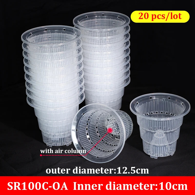 Pots plante transparents modernes perforés drainants 10cm fleur verteintérieur