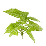 plante artificielle décorative feuilles vertes blanches rouges salon maison moderne naturel
