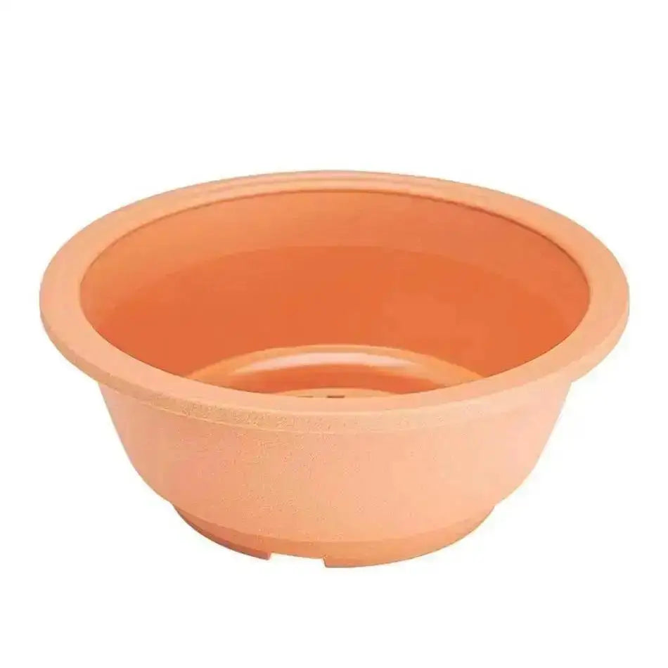 pots fleurs succulentes transparents pots jardin pots minimalistes pots plante pots plastique pots pots