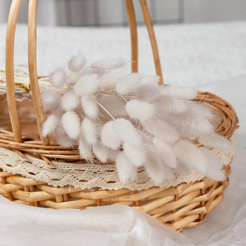 bouquet fleurs séchées herbe rabbit tail décoration maison mariage anniversaire boho naturelle rustique