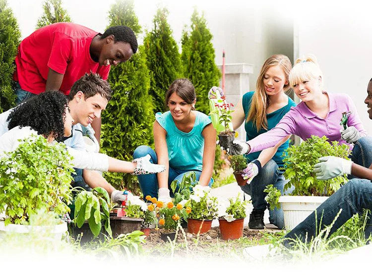 meuble plantes bois moderne roulettes pots différentsintérieur décoration aménagement