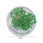 décorations nail art fleurs séchées violet rose vert rouge orange blanc naturel strass ongles