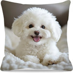 taies d'oreiller animaux imprimées tigres chats chiens orange noir blanc vert polyester peachskin 45x45cm