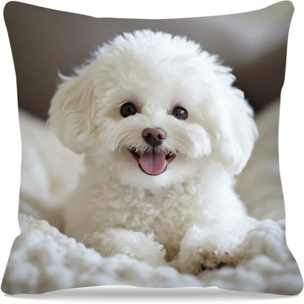 taies d'oreiller animaux imprimées tigres chats chiens orange noir blanc vert polyester peachskin 45x45cm