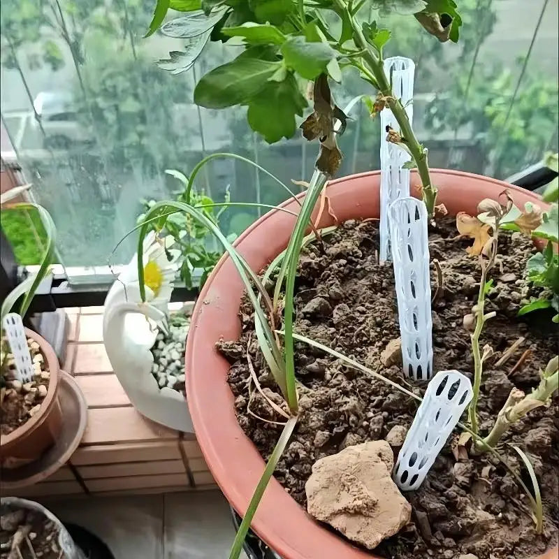 tuteur plante transparent perforations moderne eyelets plastique growth support jardin pot plantes