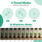 lampe led plantes 72 leds 10 niveaux luminosité ajustable 3h 9h 12h blanc noir