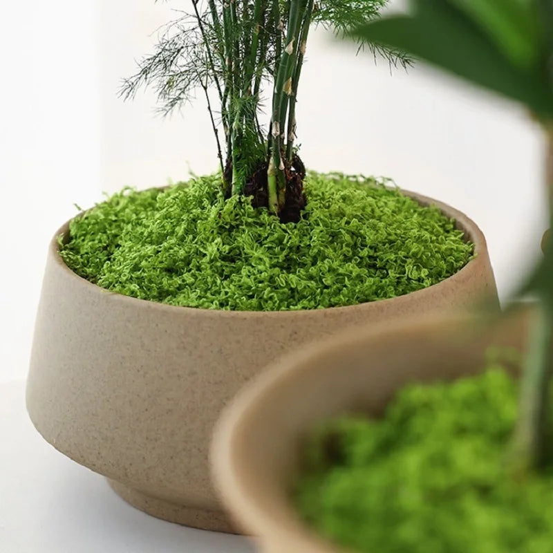 mousse artificielle feuillue verte claire decoration moderne naturelle intérieure extérieure rustic bohème dense bouclée