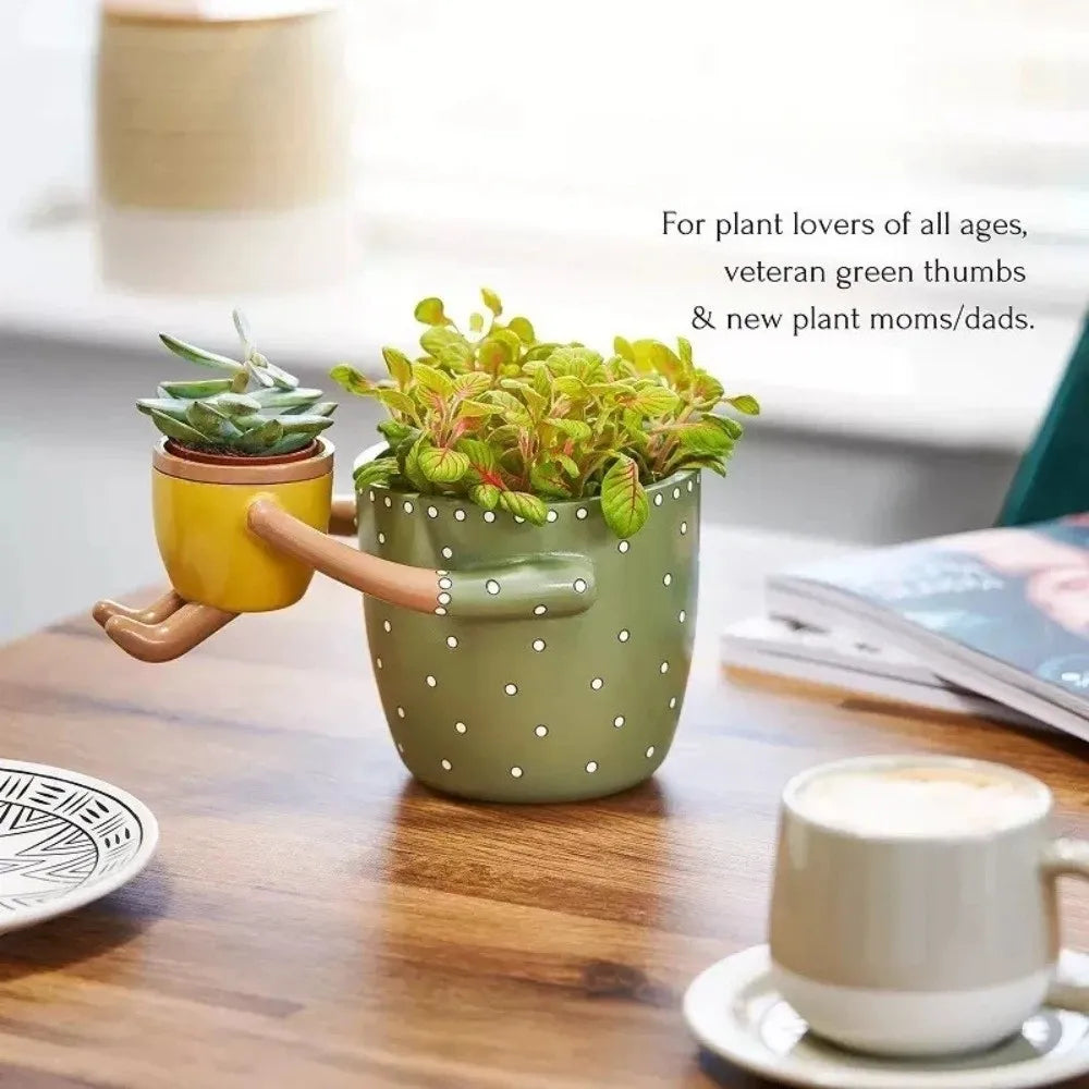 pots fleurs résine jaune vert points ludiques succulentes décoration maison plantes vertes outils jardinage